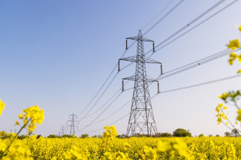 The Hidden Cost of Summer Volatility